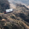 普通列車も来ました