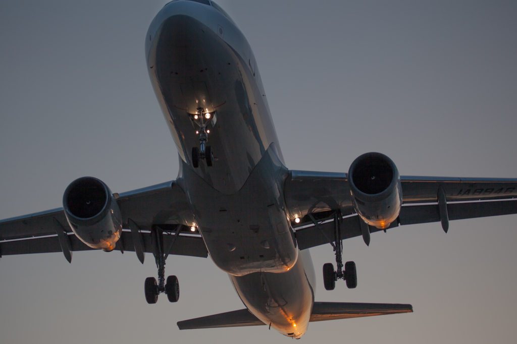 夕日を背にA320が通過