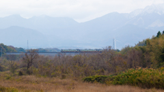 鉄橋だ鉄橋だ楽しいな