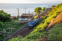 伊豆半島石橋