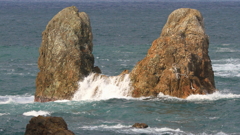 日本海の岩