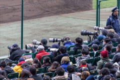 甲子園ですが