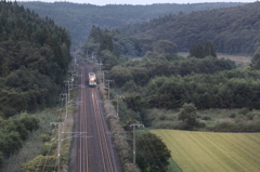 青い森と稲穂の中を走る普通列車