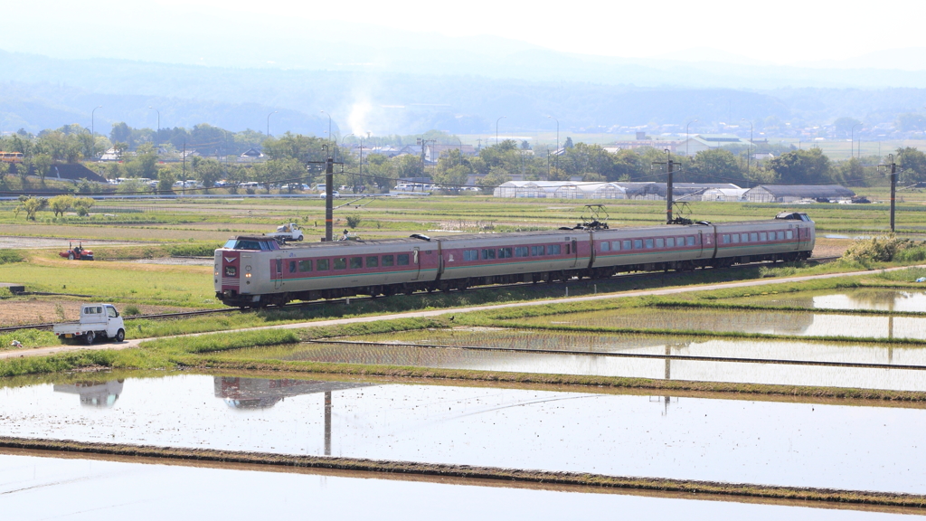 朝の田んぼのやくも