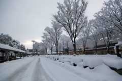 大雪の山陰です２