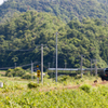 草深い谷を行く瑞風２