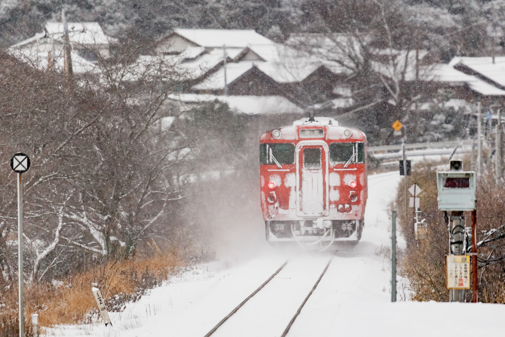 山陰雪タラコ３