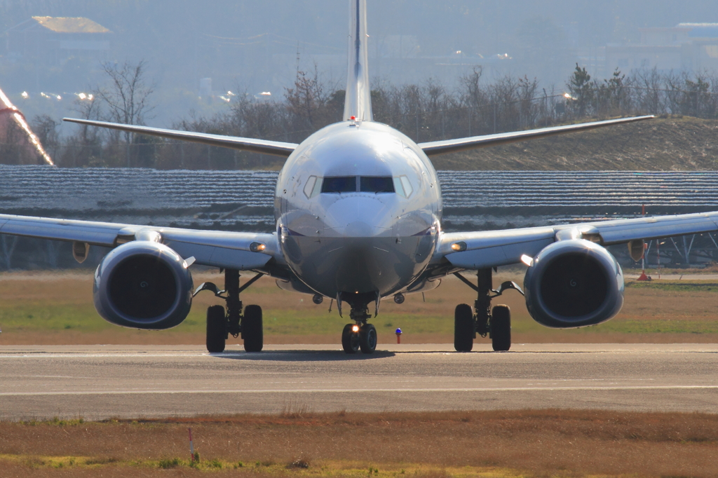 737と目があったような感じです