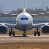 737と目があったような感じです