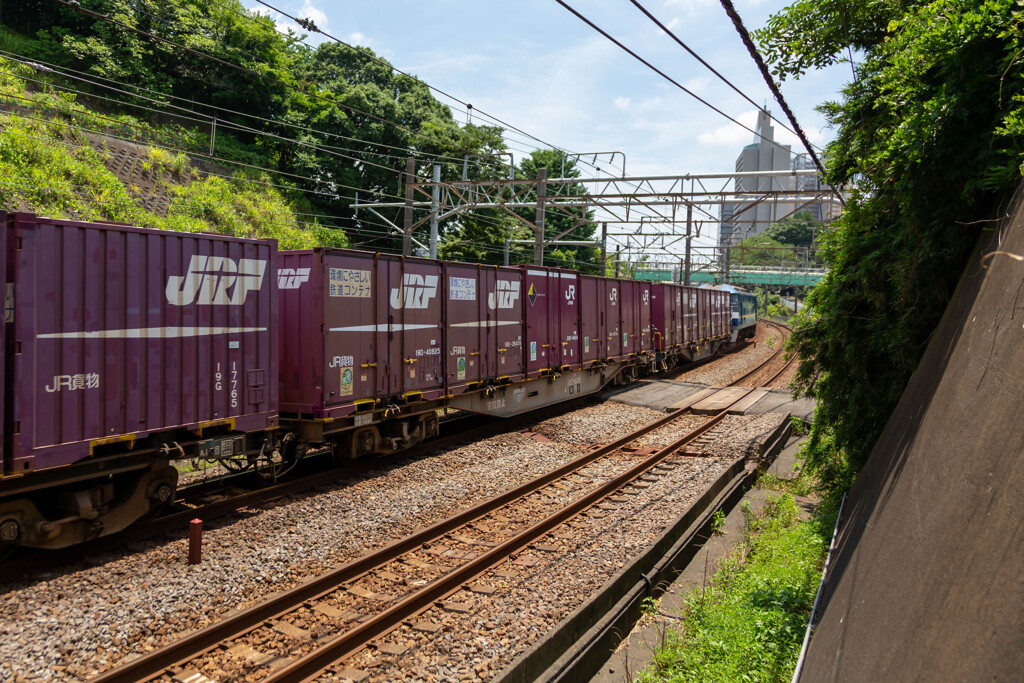 夏草と鉄