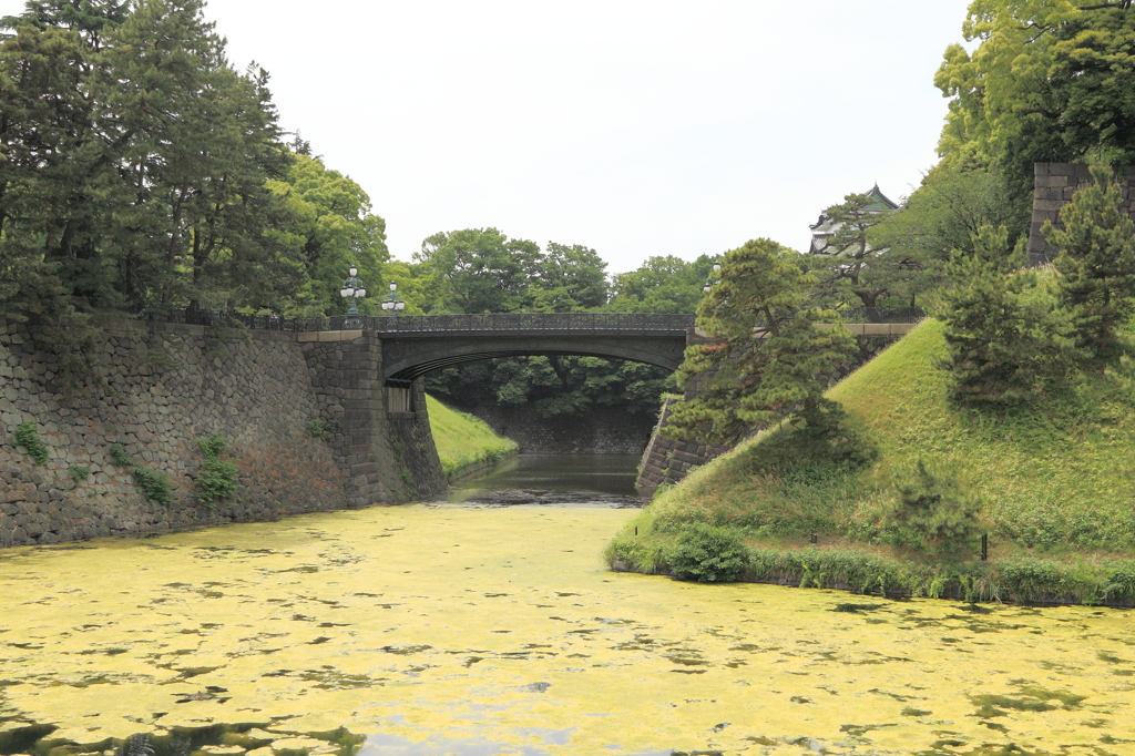 これが本当の二重橋