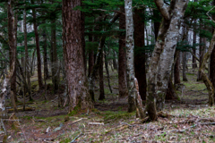 須走　富士山３