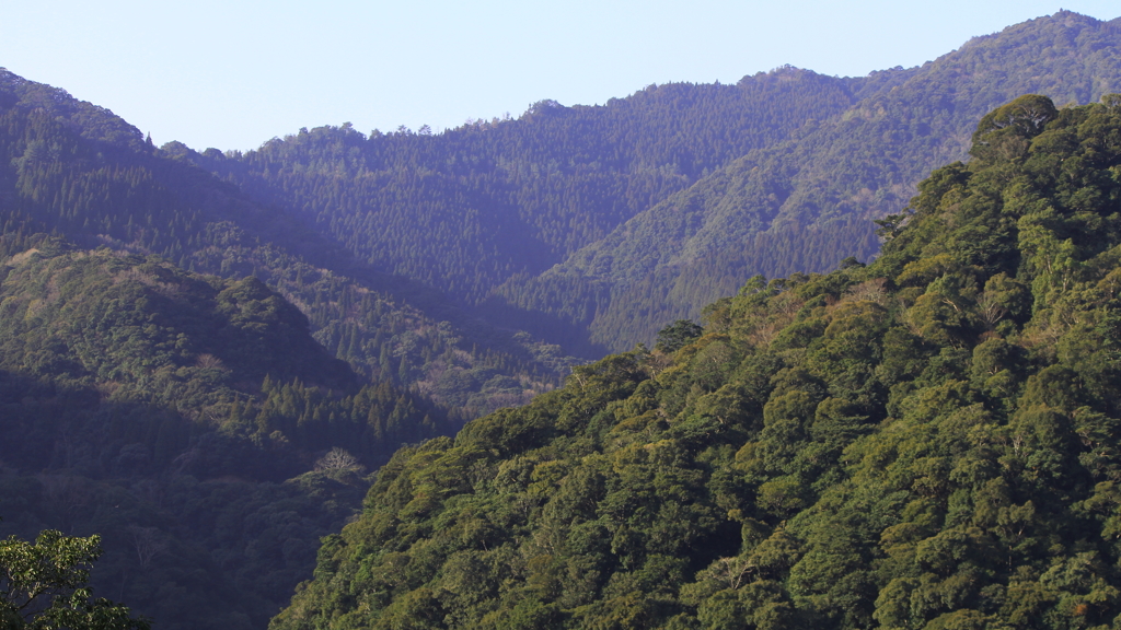 宮崎大吊り橋から