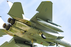 プラモデルの資料にならないか