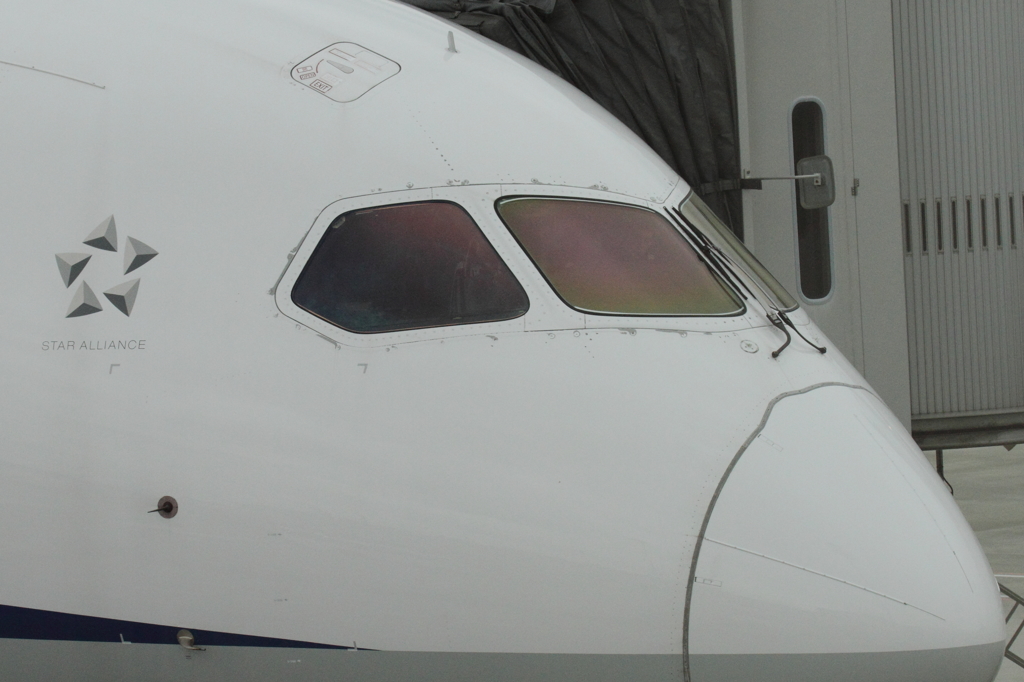 ７８７の顔
