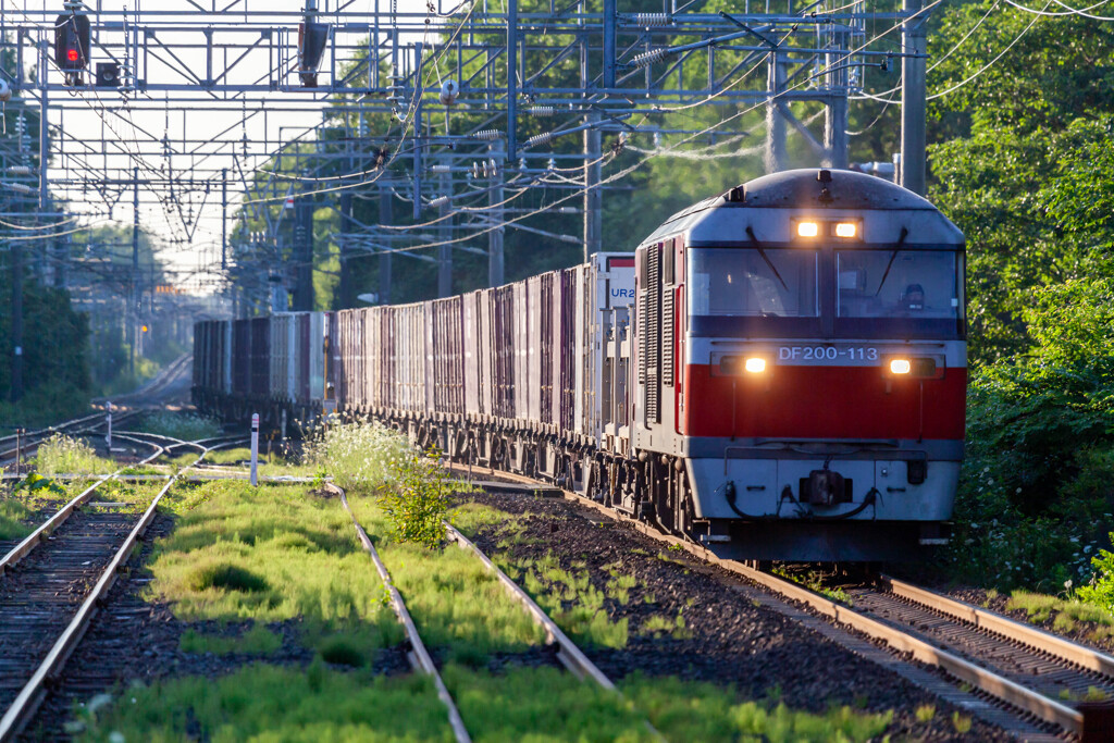 千歳線　美々ー沼ノ端間