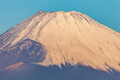 冠雪の富士　大観山からアップ