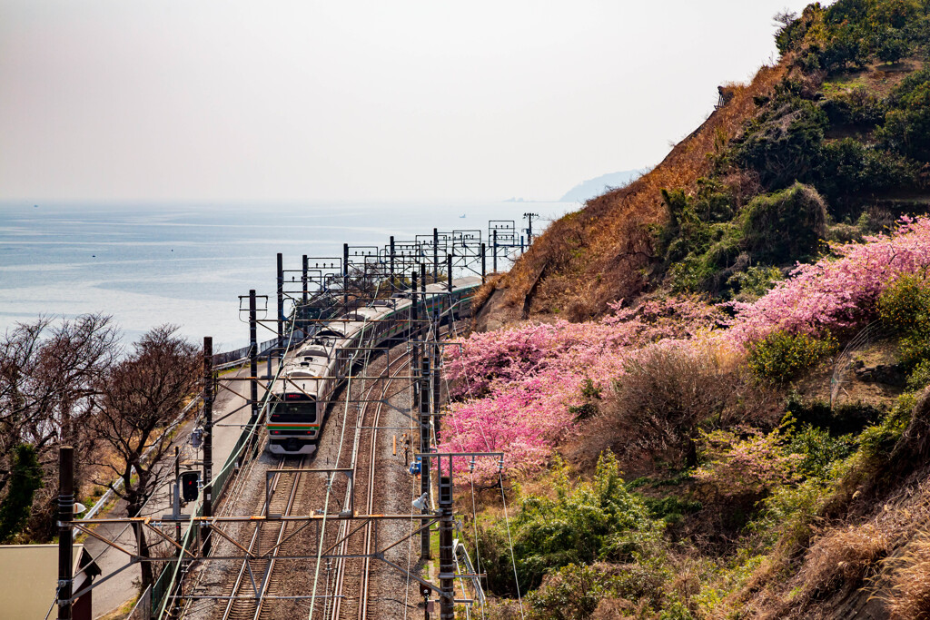 小田原石橋山