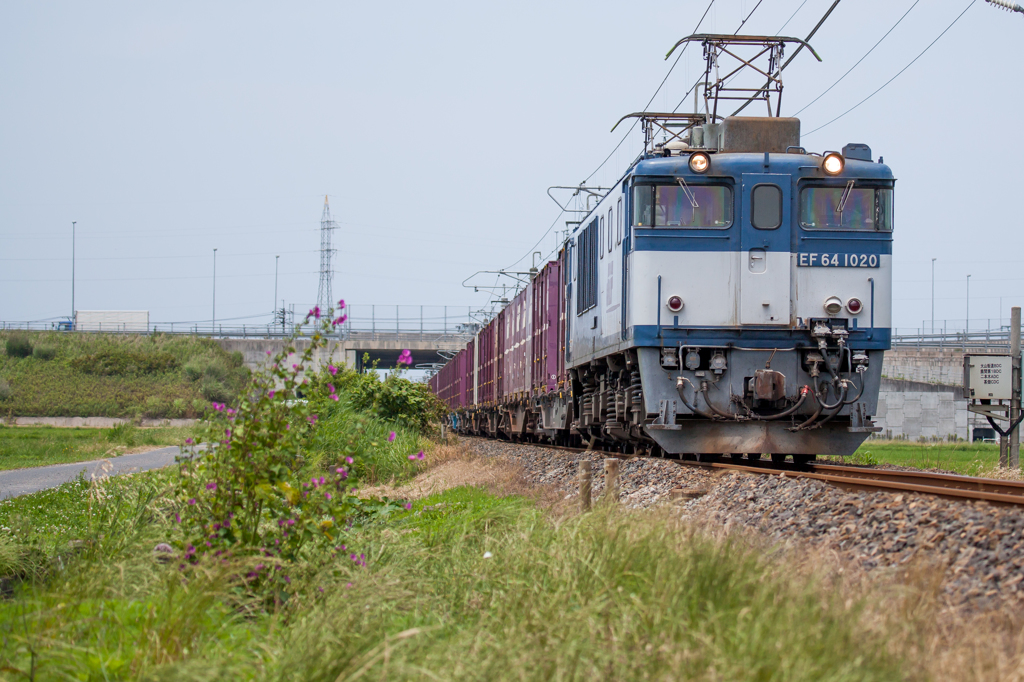 EF64　