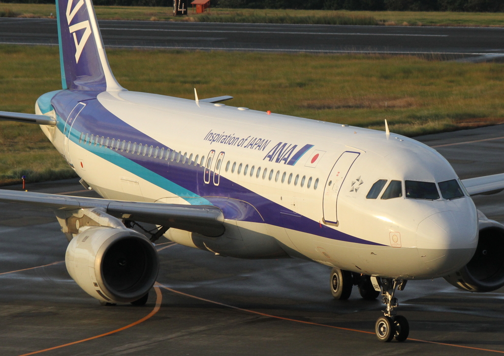 夕暮れ時は寂しそうA320