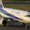 夕暮れ時は寂しそうA320