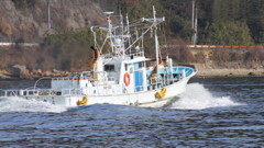境水道の漁船１