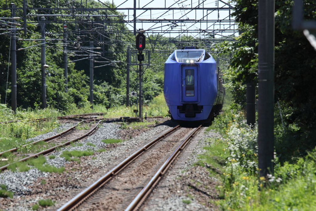 夏場の美々はもう見られない２