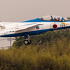 ブルー、フォー