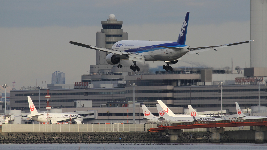 ANA機着陸ちょっと前