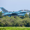 F-2 再現像