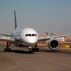７８７に乗るわけではありません