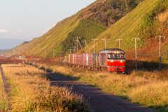 根室本線　貨物列車