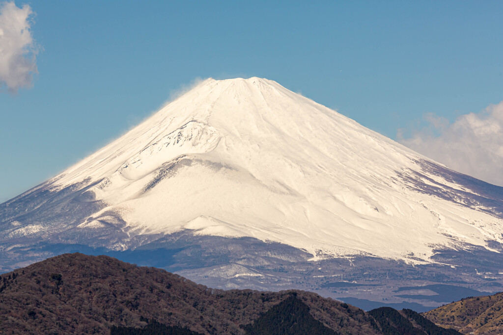 冨士の白雪