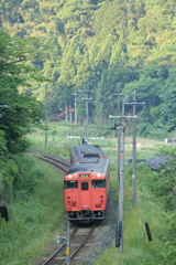 緑の中のタラコ