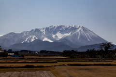 里山を歩く