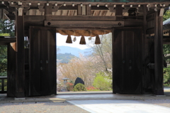 隠岐神社‐門