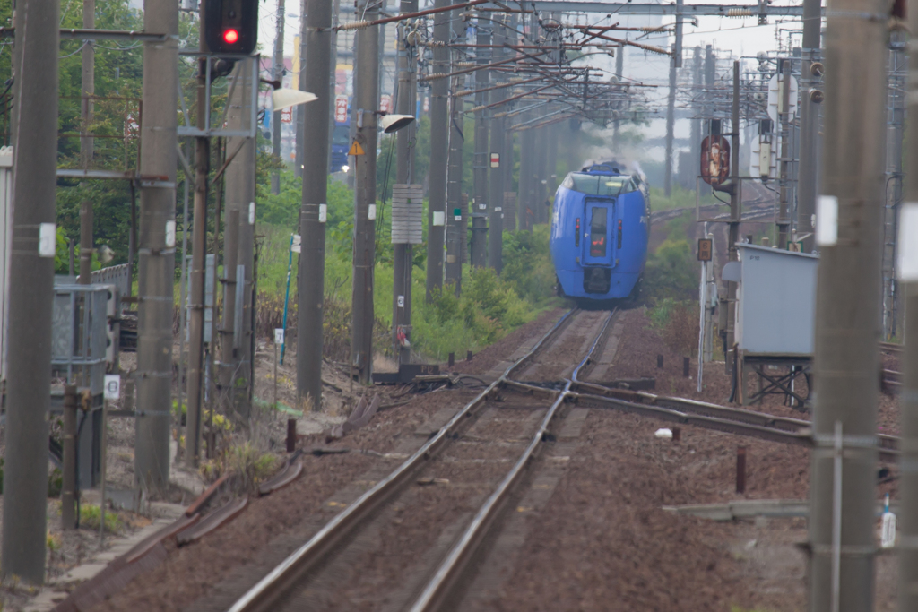 ここを＊赤い熊＊が通っていました。修正です。