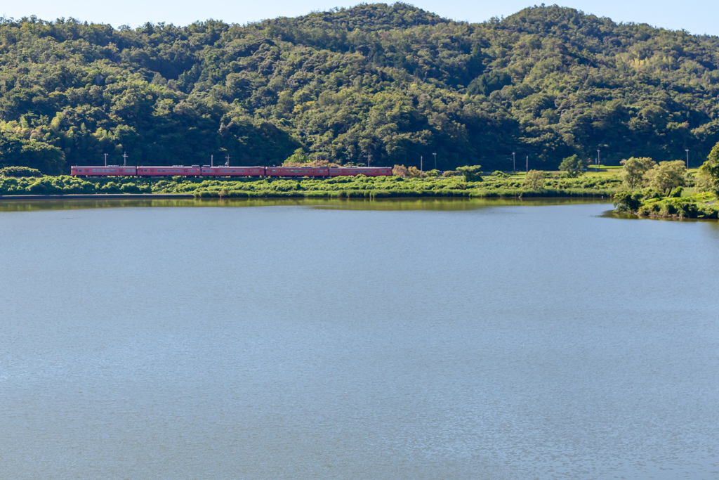 タラコ５輌編成遠景
