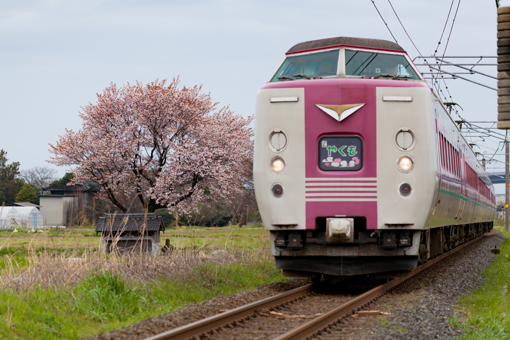 やくも伯耆大山通過