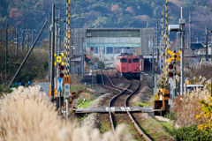 ローカル駅とタラコ