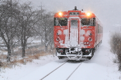 やっと雪たらこ１