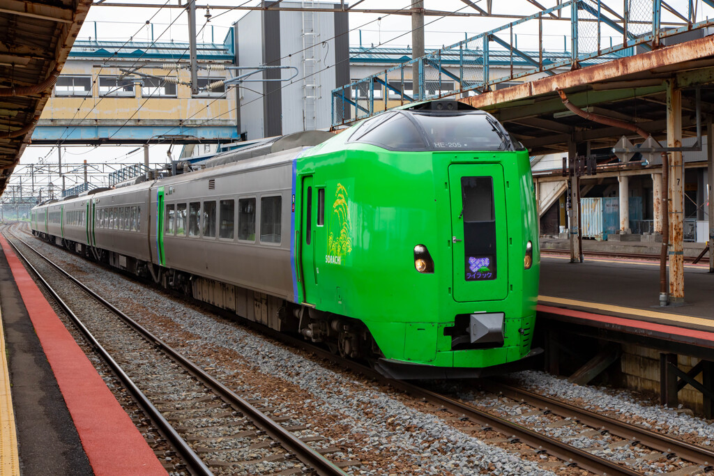 ライラック