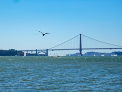 金門橋　アルカトラス刑務所