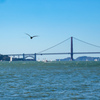 金門橋　アルカトラス刑務所