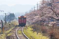 大岩駅、桜と汽車