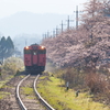 大岩駅、桜と汽車