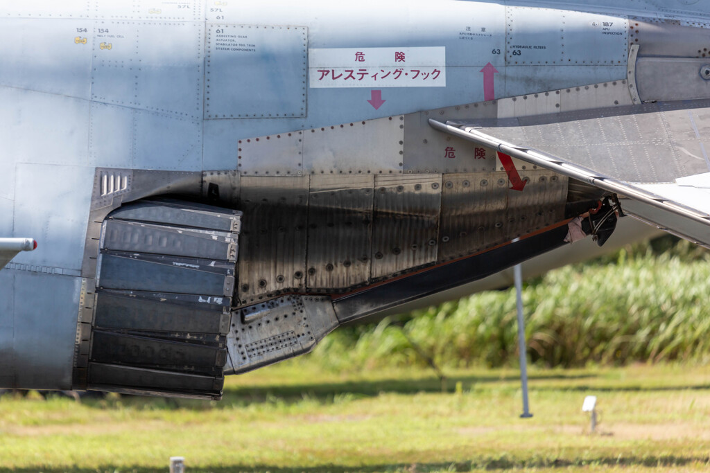 美保基地のケロヨン