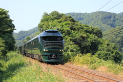 夏草の気動車２