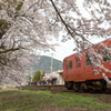 タラコで汽車通学