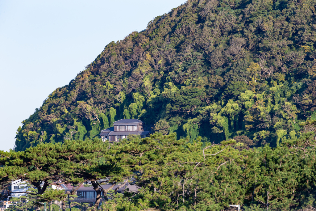 相模湾　葉山